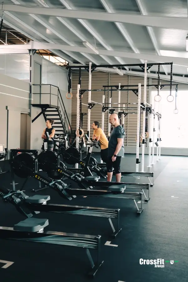 Entrenamiento fisico